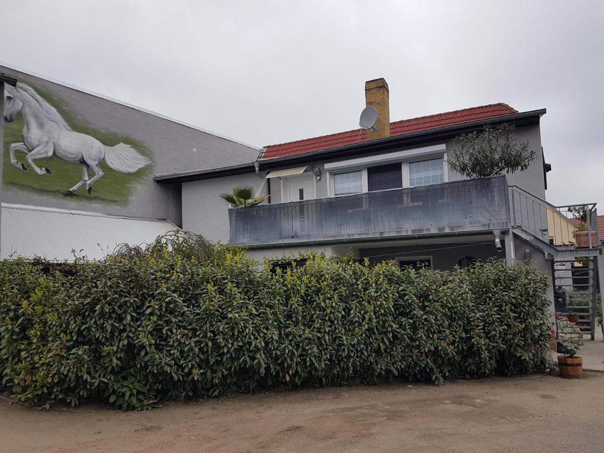 Pferdepension Jaeger Markranstaedt Exterior photo